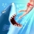 Shark Games Evolution