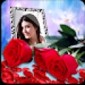 Rose Photo Frames HD